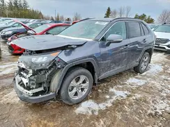 2T3BWRFV1PW164667 2023 TOYOTA RAV 4