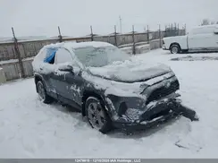 2T3BWRFV1PW182702 2023 TOYOTA RAV 4