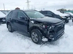 2T3BWRFV1RW204801 2024 TOYOTA RAV 4