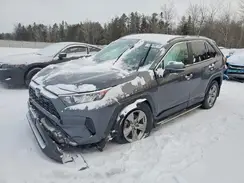 2T3BWRFV1RW229679 2024 TOYOTA RAV 4