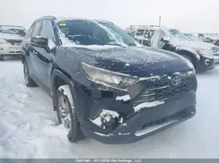 2T3BWRFV1SW253650 2025 TOYOTA RAV 4