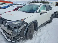 2T3BWRFV1SW287409 2025 TOYOTA RAV 4