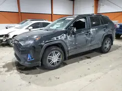 2T3BWRFV2PW179890 2023 TOYOTA RAV 4