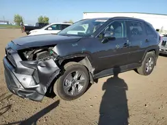 2T3BWRFV2RW192688 2024 TOYOTA RAV 4