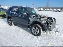 2T3BWRFV2SW287581 2025 TOYOTA RAV 4