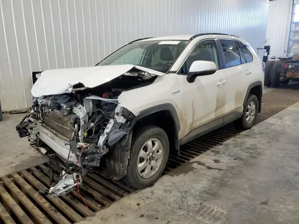 2T3BWRFV3KW016352 2019 TOYOTA RAV 4 - Image 1