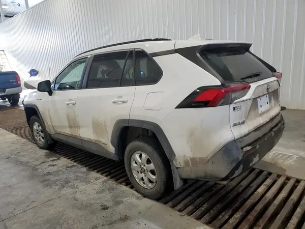 2T3BWRFV3KW016352 2019 TOYOTA RAV 4 - Image 2