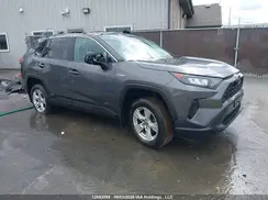 2T3BWRFV3KW024368 2019 TOYOTA RAV 4
