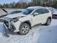 2T3BWRFV3KW030932 2019 TOYOTA RAV 4