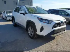 2T3BWRFV3PW179946 2023 TOYOTA RAV 4