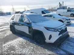 2T3BWRFV3PW184161 2023 TOYOTA RAV 4