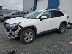 2T3BWRFV3RW188620 2024 TOYOTA RAV 4