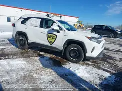 2T3BWRFV4KW018112 2019 TOYOTA RAV 4