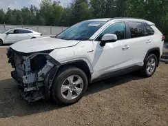 2T3BWRFV4KW039221 2019 TOYOTA RAV 4