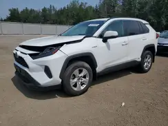 2T3BWRFV4MW123512 2021 TOYOTA RAV 4