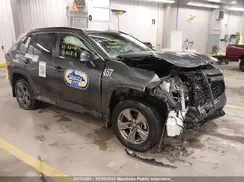 2T3BWRFV4PW166848 2023 TOYOTA RAV 4