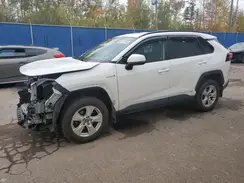 2T3BWRFV5MW106573 2021 TOYOTA RAV 4