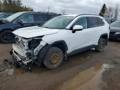 2T3BWRFV5PW160248 2023 TOYOTA RAV 4