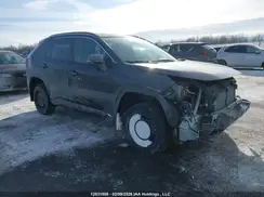 2T3BWRFV5RW221875 2024 TOYOTA RAV 4