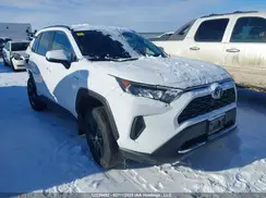2T3BWRFV6LW100702 2020 TOYOTA RAV 4