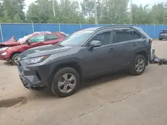 2T3BWRFV6PW170206 2023 TOYOTA RAV 4