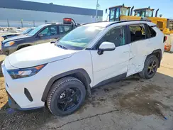 2T3BWRFV6RW206320 2024 TOYOTA RAV 4