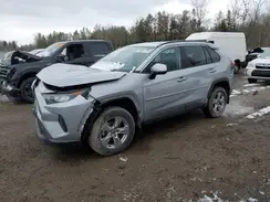 2T3BWRFV7NW142704 2022 TOYOTA RAV 4