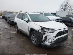 2T3BWRFV7RW238421 2024 TOYOTA RAV 4