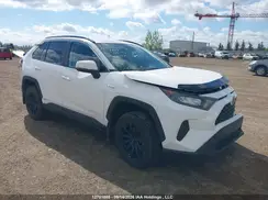 2T3BWRFV8KW009087 2019 TOYOTA RAV 4