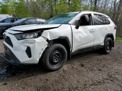 2T3BWRFV8PW162611 2023 TOYOTA RAV 4
