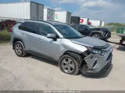 2T3BWRFV8RW190928 2024 TOYOTA RAV 4