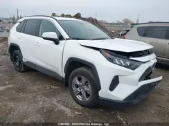 2T3BWRFV8SW279842 2025 TOYOTA RAV 4