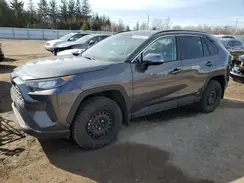 2T3BWRFV9RW231972 2024 TOYOTA RAV 4