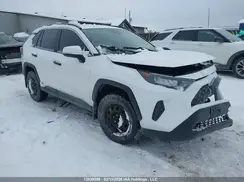 2T3BWRFVXPW162660 2023 TOYOTA RAV 4