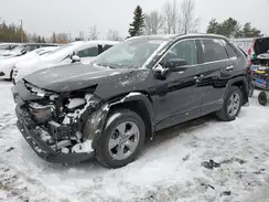 2T3BWRFVXPW166613 2023 TOYOTA RAV 4