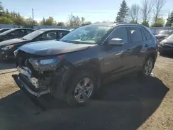 2T3BWRFVXRW206076 2024 TOYOTA RAV 4