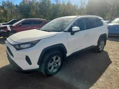 2T3BWRFVXRW221273 2024 TOYOTA RAV 4
