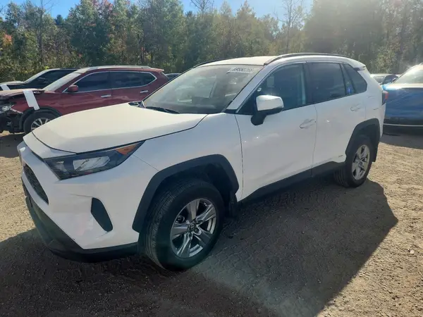 2T3BWRFVXRW221273 2024 TOYOTA RAV 4 - Image 1