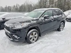 2T3BWRFVXRW232919 2024 TOYOTA RAV 4