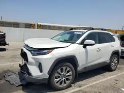 2T3C1RFV1PW259619 2023 TOYOTA RAV 4