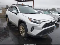 2T3C1RFV1PW264545 2023 TOYOTA RAV 4