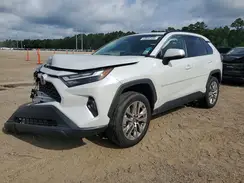 2T3C1RFV1SW411469 2025 TOYOTA RAV 4