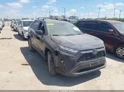 2T3C1RFV2PW298784 2023 TOYOTA RAV 4