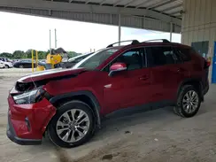 2T3C1RFV2RW343967 2024 TOYOTA RAV 4