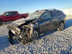 2T3C1RFV3KC008126 2019 TOYOTA RAV 4