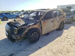 2T3C1RFV3KC031020 2019 TOYOTA RAV 4