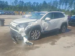 2T3C1RFV3MW132561 2021 TOYOTA RAV 4