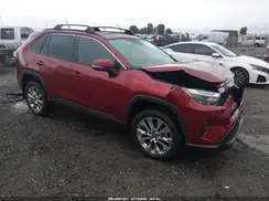 2T3C1RFV3PW293464 2023 TOYOTA RAV 4
