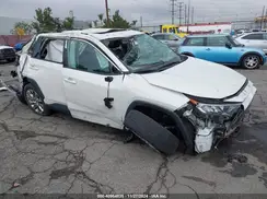 2T3C1RFV4MW171823 2021 TOYOTA RAV 4