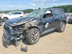 2T3C1RFV4PW248355 2023 TOYOTA RAV 4